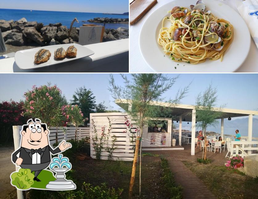 Tra le diverse cose da Lido MACAU si possono trovare la esterno e cibo