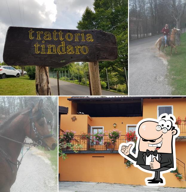 Here's an image of Trattoria Da Tindaro