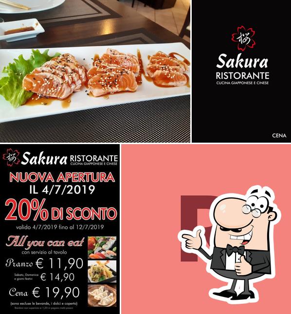 Regarder l'image de Ristorante Sakura