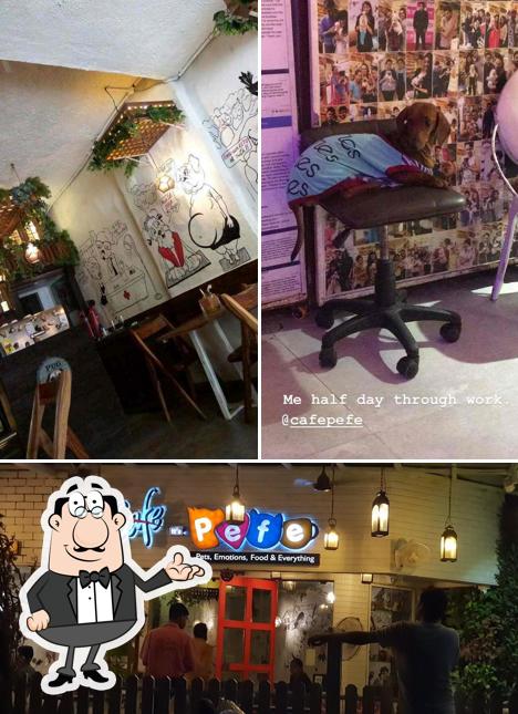 The interior of Ohh My Dog Pefe