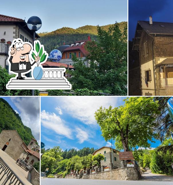 Curiosa tra la parte esterna di Ristorante Pizzeria La Foresta