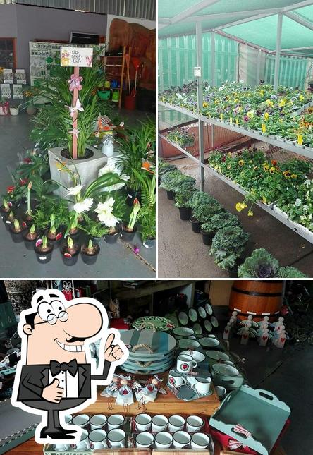 See the pic of Pro Plants Nursery