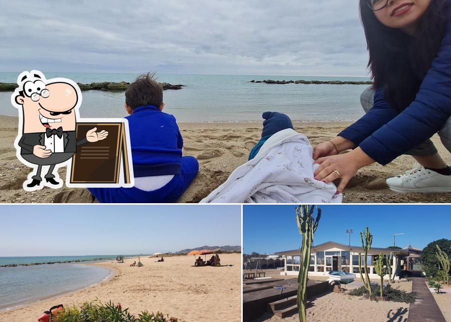 OASI BEACH OSTERIA DEL MARE si caratterizza per la esterno e cibo