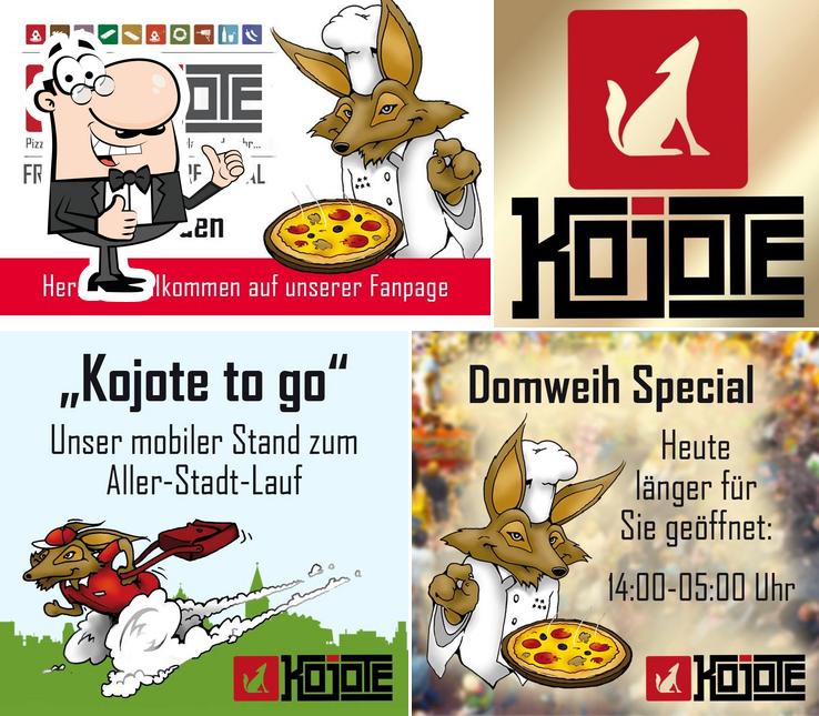 Voir cette image de Kojote GmbH