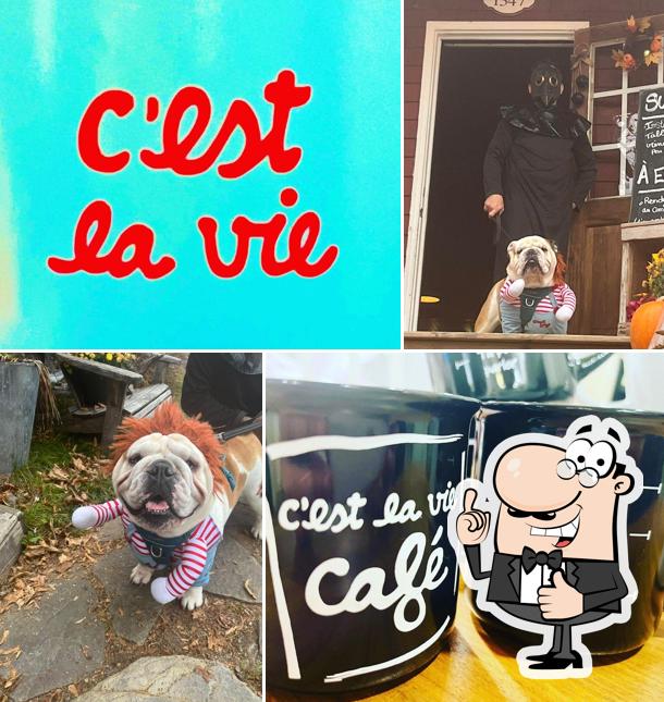 Взгляните на фото паба и бара "C’est la vie café"