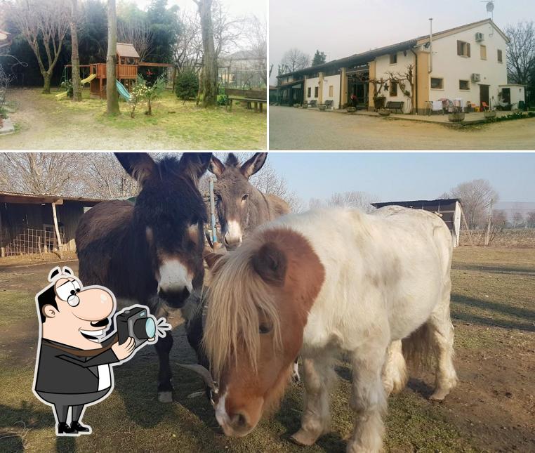 Vedi questa immagine di Agriturismo Sartor San Giorgio in Bosco