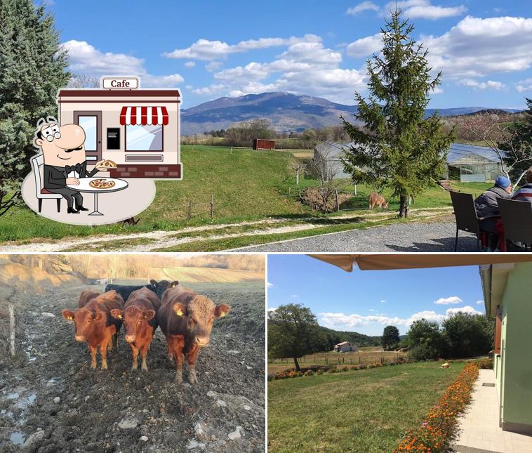 Goditi la vista dall'area esterna di Agroturism Stara Štala