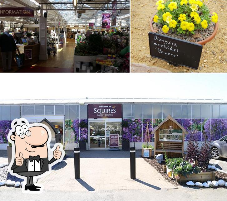 See this photo of Squires Garden Centre