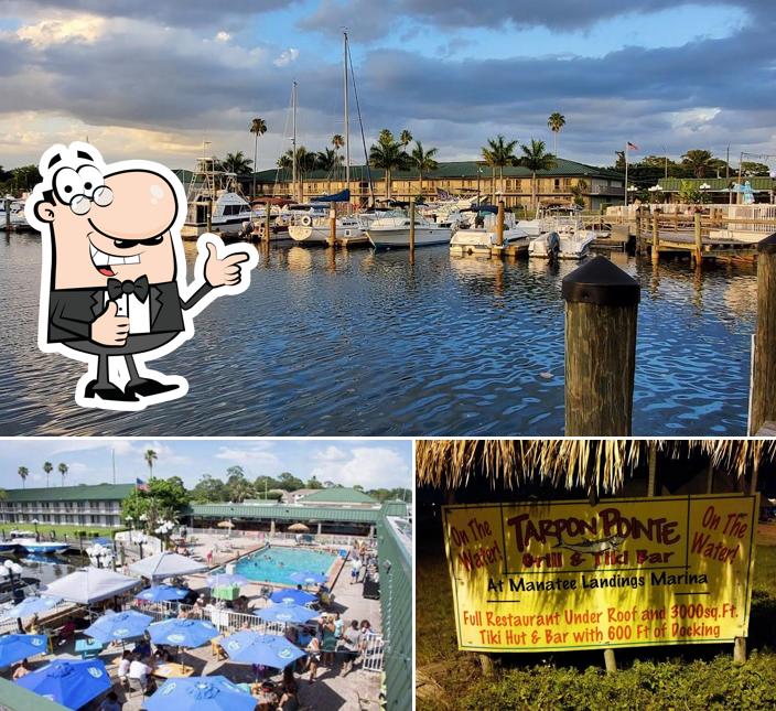 Tarpon Bay Grill & Tiki Bar photo