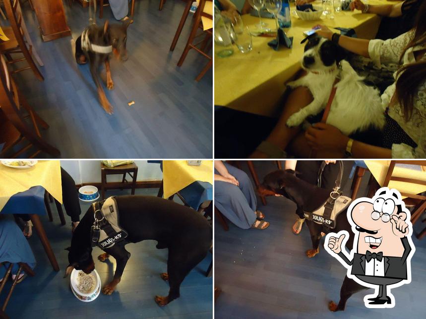 Dai un'occhiata agli interni di MAGIC Moments DA STEFY 1DOG Restaurant in Italia Viareggio