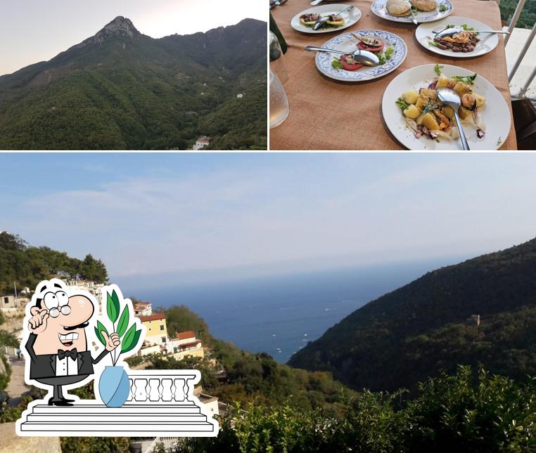 Questa è la foto che presenta la esterno e cibo di New Garden