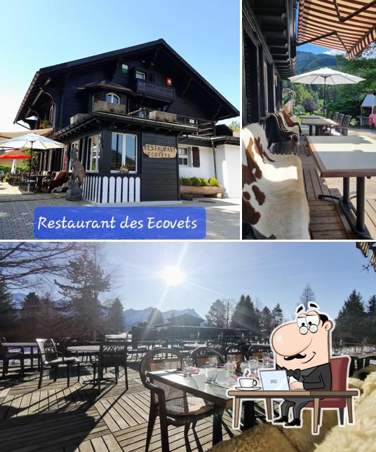 L'intérieur de Restaurant les ecovets