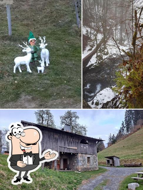 Regarder cette image de Ferme de Bemont Samoëns