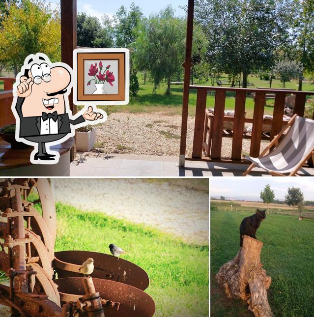 Gli interni di Agriturismo San Matteo