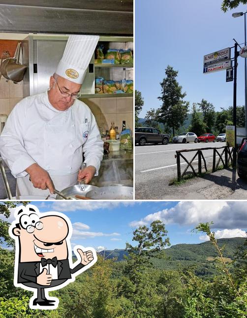 Ristorante Il Sottobosco Svolta del Podere Recensioni del