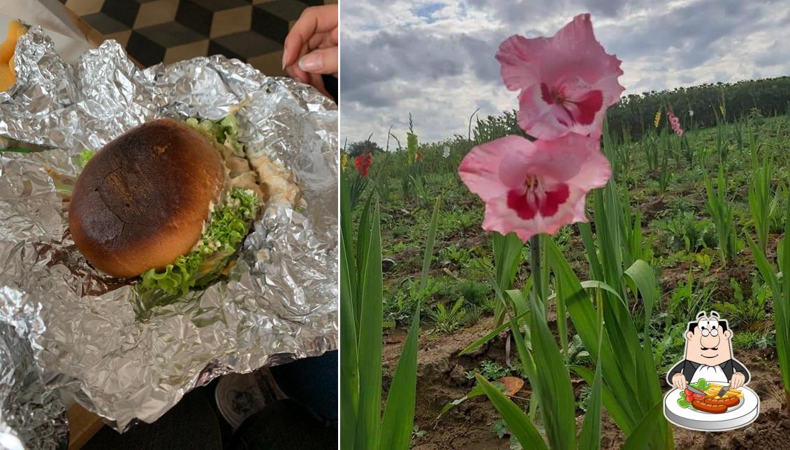 Comida en La Belle des Champs