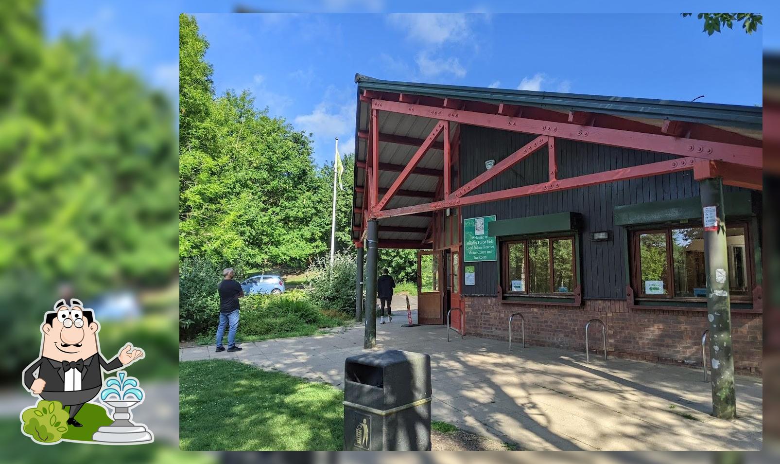 Brierley Forest Park Visitor Centre And Cafe In Sutton In Ashfield Restaurant Reviews 0066