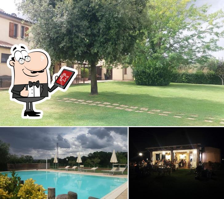 Curiosa tra gli esterni di Agriturismo delle Rose