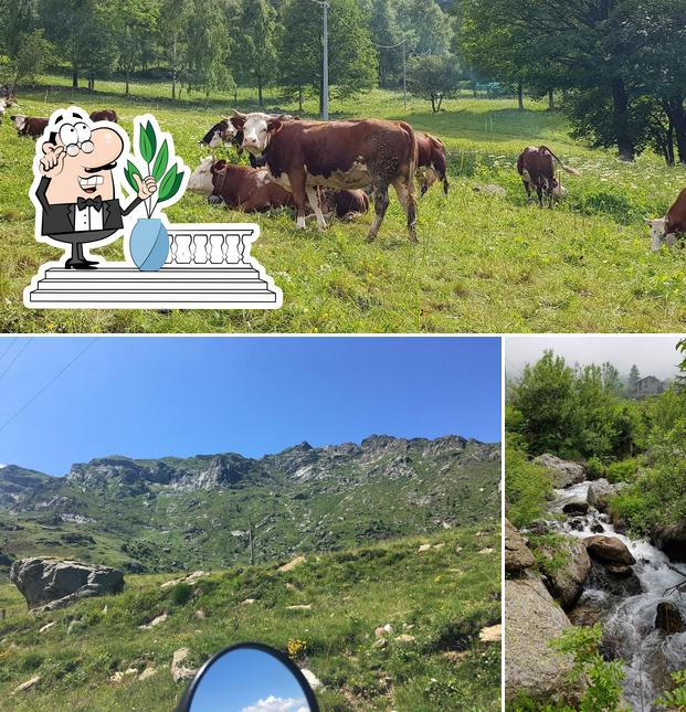 Gli esterni di Agriturismo Le Capanne