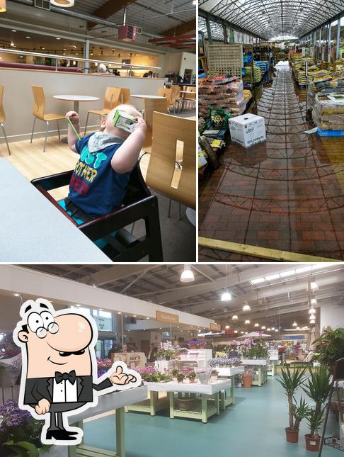 Check out how Dobbies Garden Centre Dunfermline looks inside