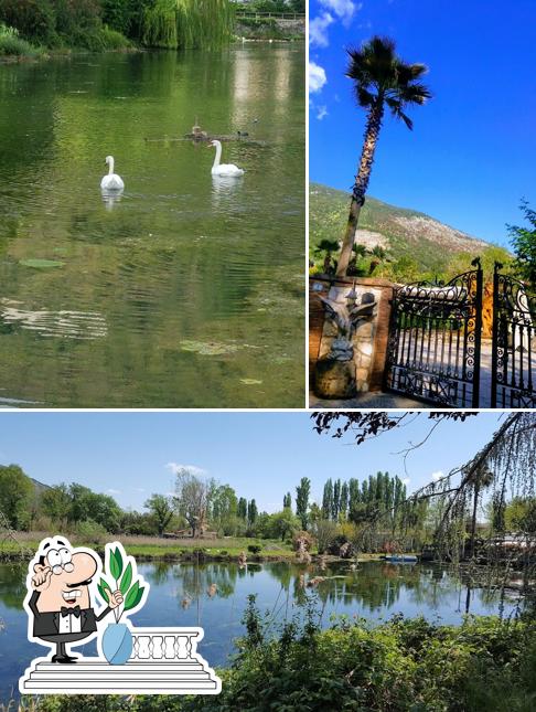 Gli esterni di Ristorante Al Lago Dei Cigni