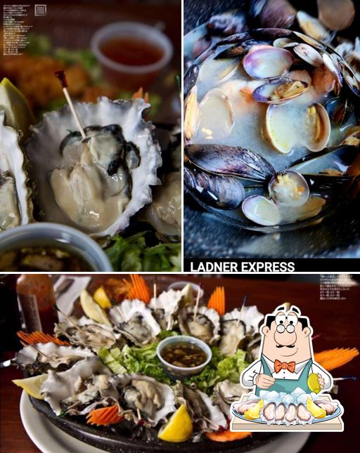 Commandez des fruits de mer à Sharkey's Seafood Bar & Grille