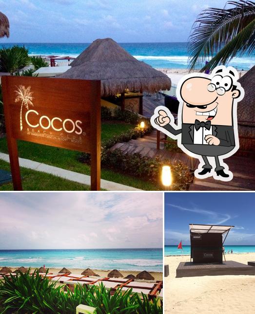 Cocos Beach Club, Cancún - Restaurant reviews