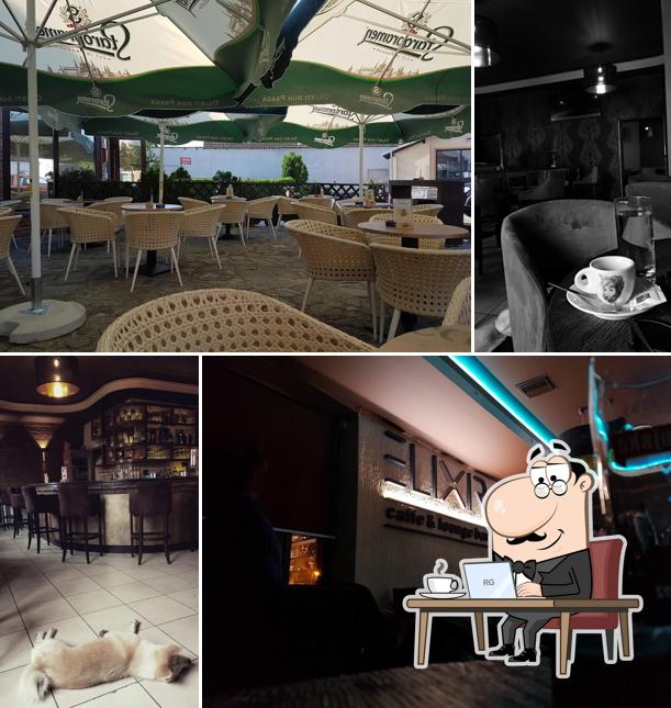 Gli interni di Caffe & lounge bar Elixir