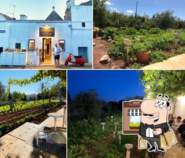 Gli esterni di Trattoria "Terra Madre"