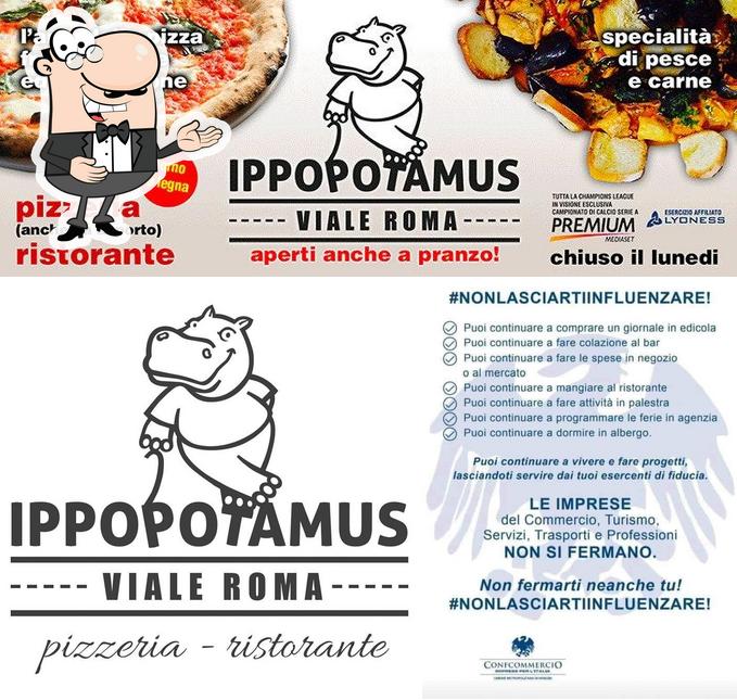 Guarda la immagine di Ippopotamus MM