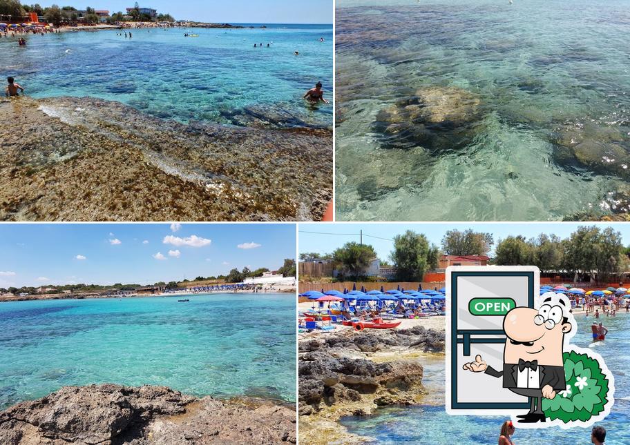 Guarda gli esterni di Tridakna Beach