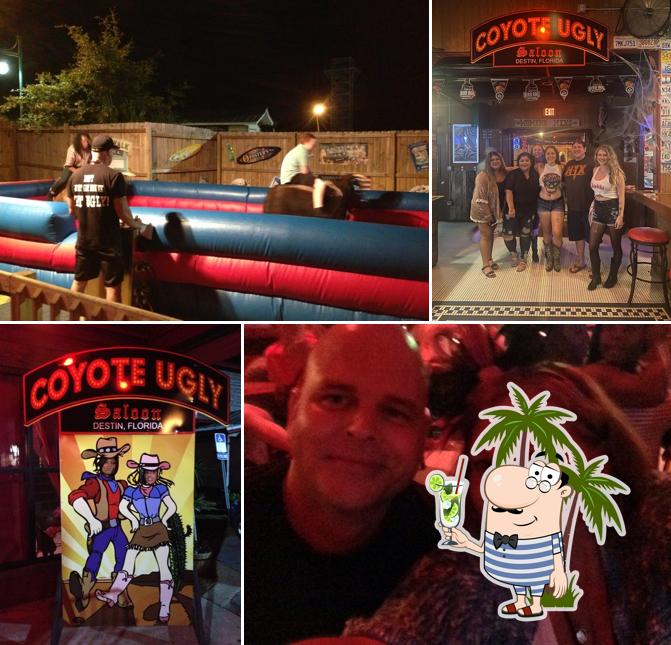 Coyote Ugly Saloon in Destin - Restaurant reviews