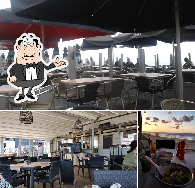 Reefs Café, Blankenberge