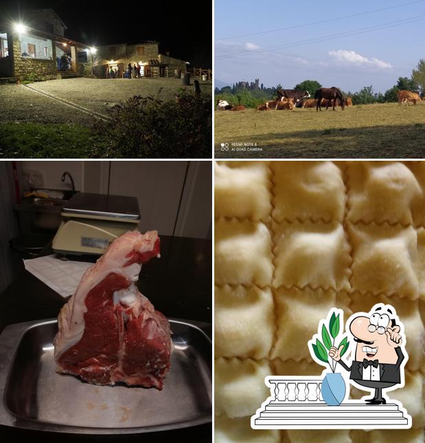 Questa è la immagine che presenta la esterno e cibo di Agriturismo Il Ristoro di Cervoli