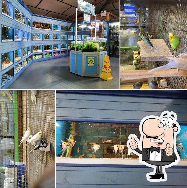 Water World Pet & Aquatic Centre in Neston - Restaurant reviews