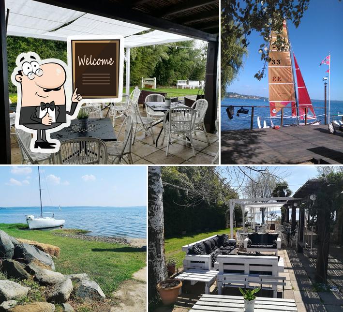 Guarda la immagine di Albatros Club