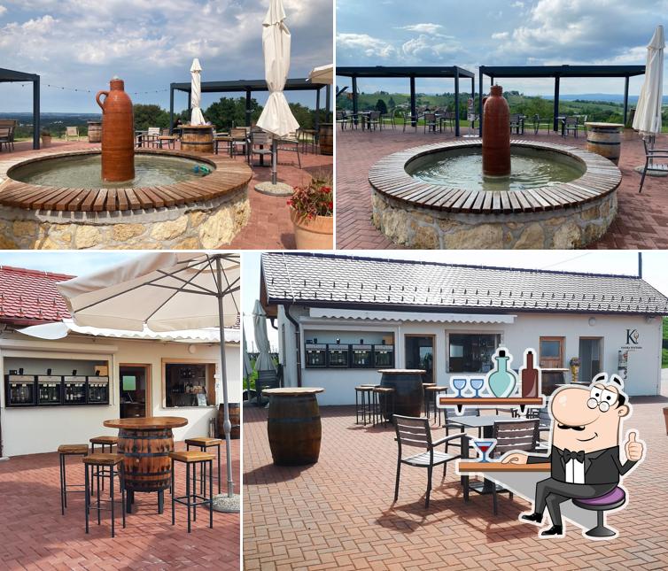 Dai un'occhiata agli interni di Wine Fountain Kapela