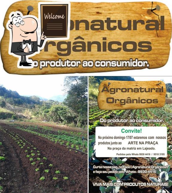 See the photo of Agronatural orgânicos