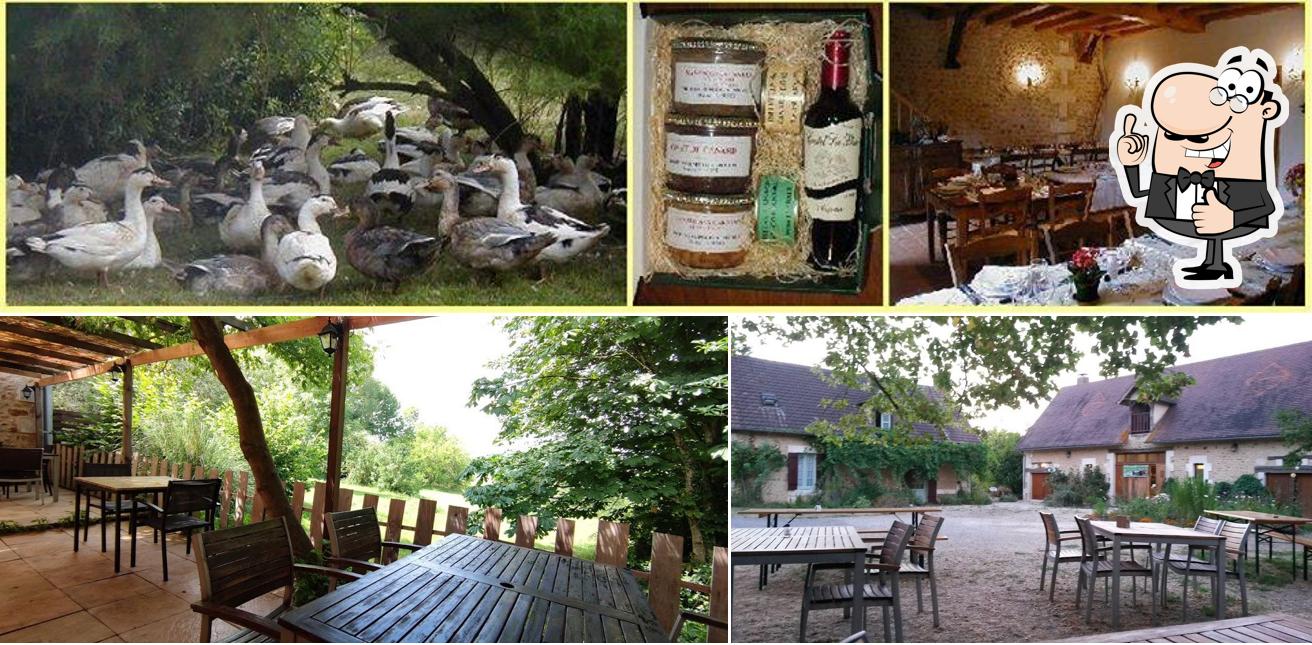 Photo de Ferme auberge de la Colline