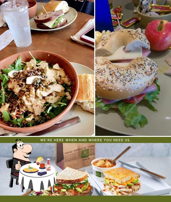 Panera Bread, 3720 W Hillsboro Blvd in Deerfield Beach - Restaurant