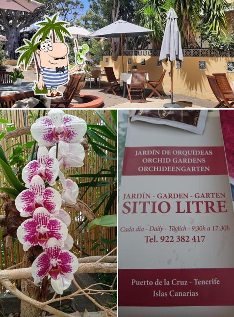 Cafe Orquidea in Puerto de la Cruz - Restaurant reviews