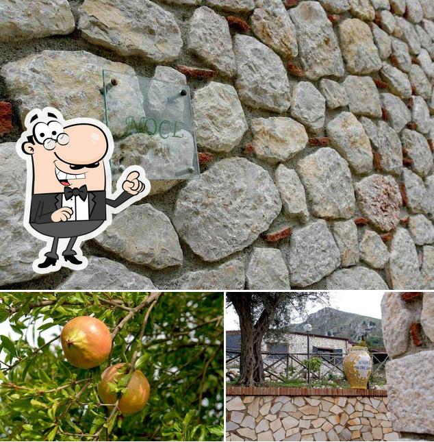 Agriturismo Biologico "Il Vento dei Tre Santi " si caratterizza per la esterno e cibo