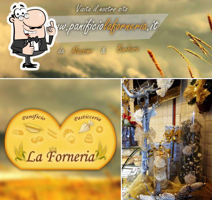 Guarda questa foto di Panificio La Forneria