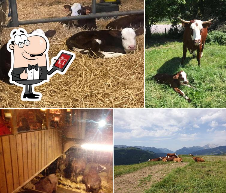 L'extérieur de Ferme de la Charbonnière