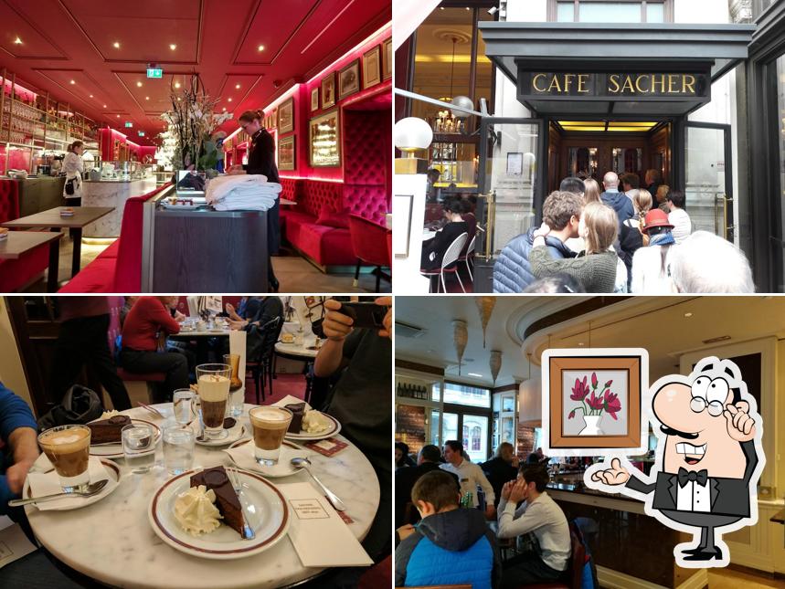 Découvrez l'intérieur de Café Sacher Wien