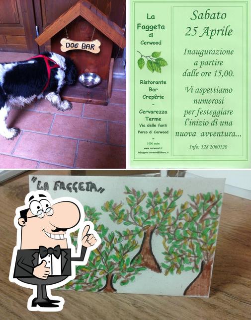 Guarda la immagine di La Faggeta