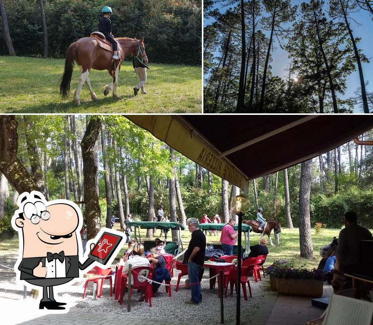 Gli esterni di Ristorante Poggio all'Aglione