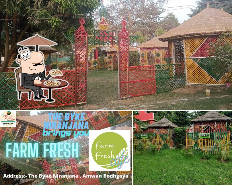 Farm Fresh - Restaurant & Cafe