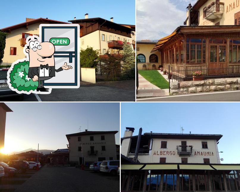 Anaunia pizzeria e pane