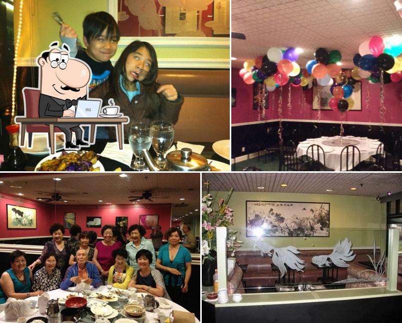 Lotus Garden in Plainsboro Center Restaurant menu and reviews